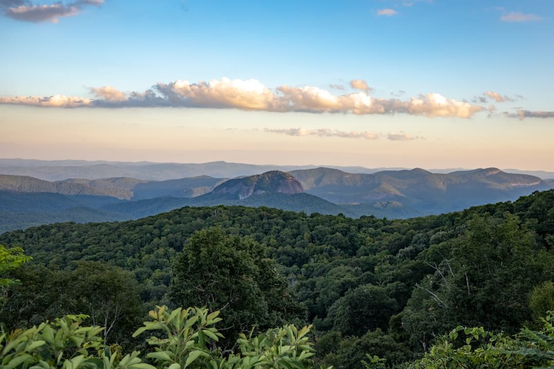 Bodas en Asheville