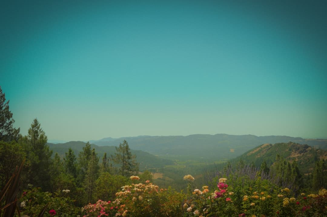 Calistoga