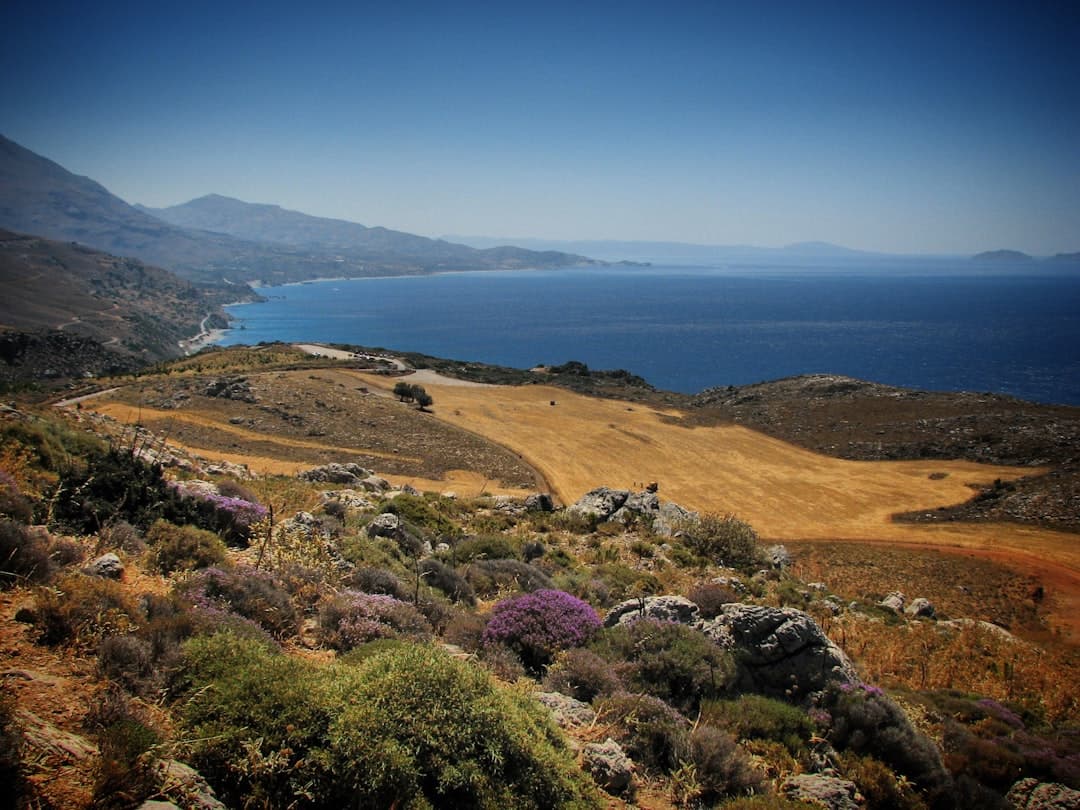 Hydra