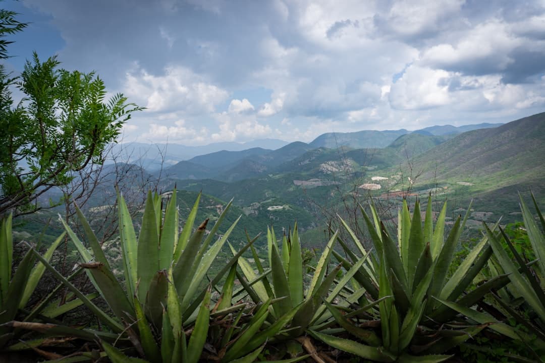 Ixtapa Zihuatanejo