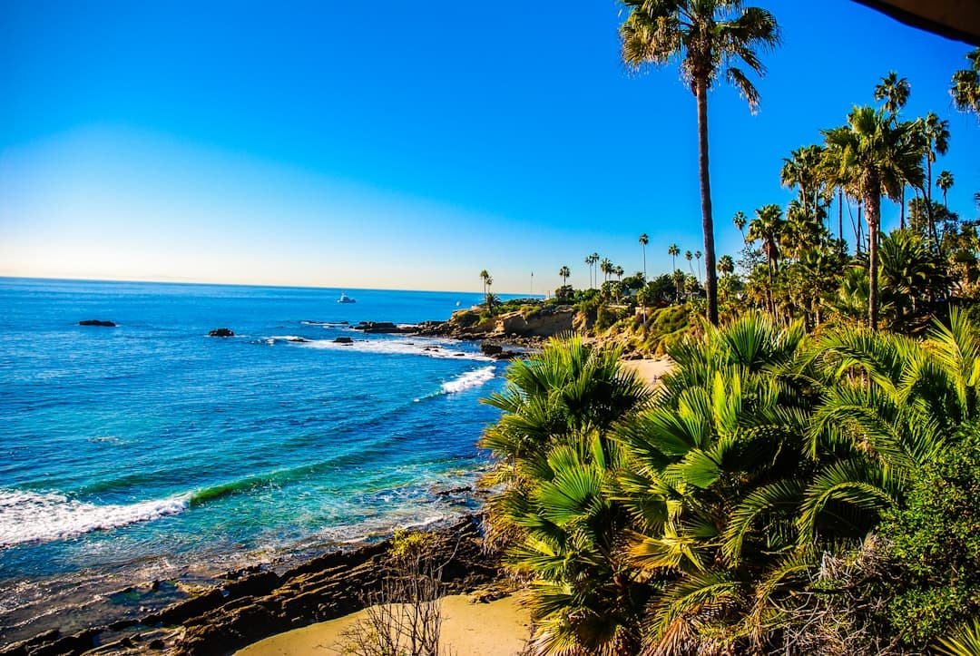 Bodas en Laguna Beach
