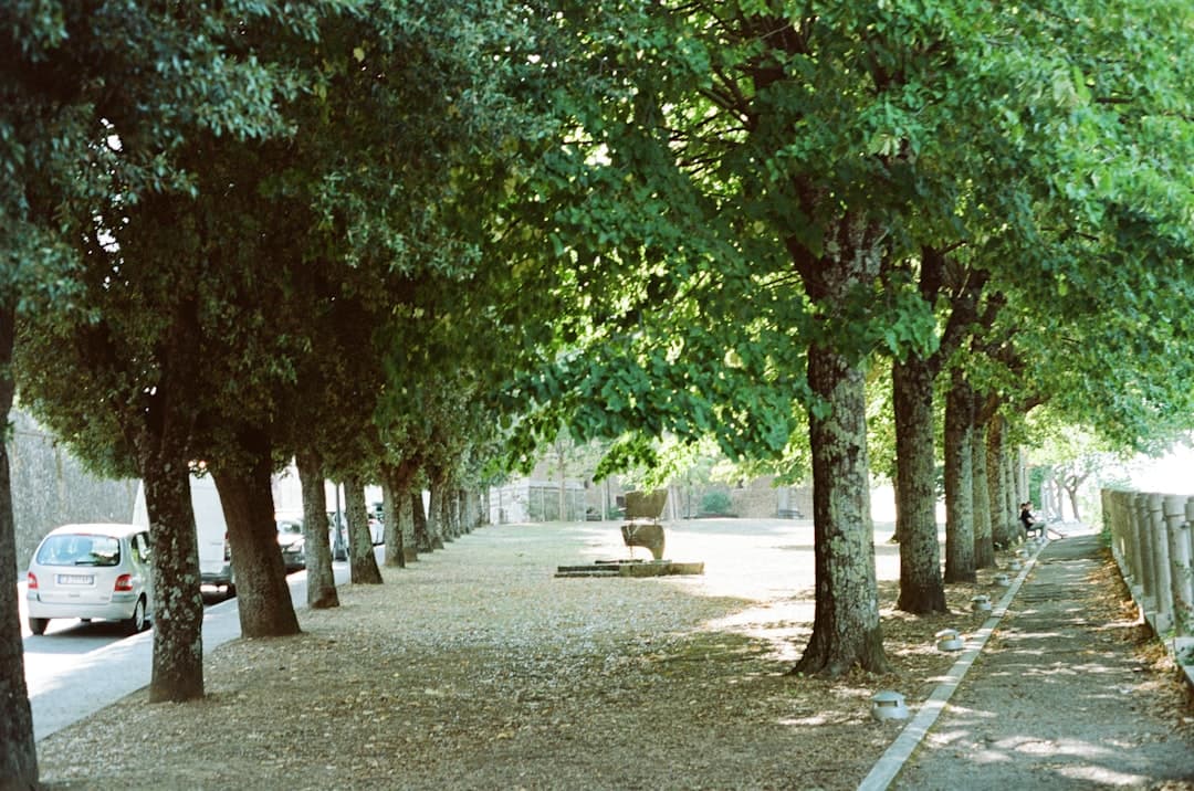 Bodas en Montalcino