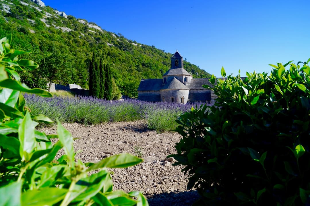 Bodas en Saint-Rémy-de-Provence
