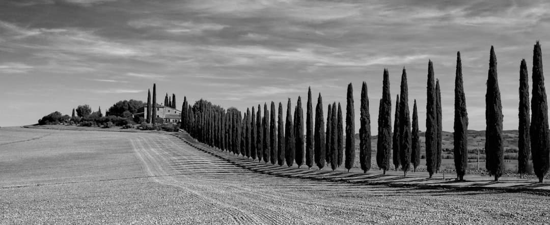 Bodas en San Quirico d'Orcia
