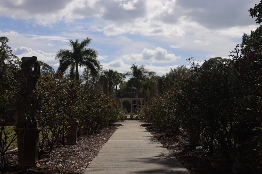 Bodas en Sarasota