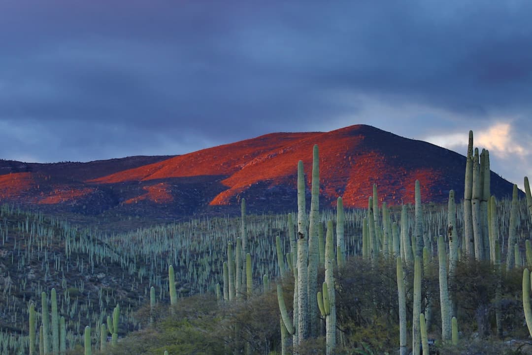 Todos Santos