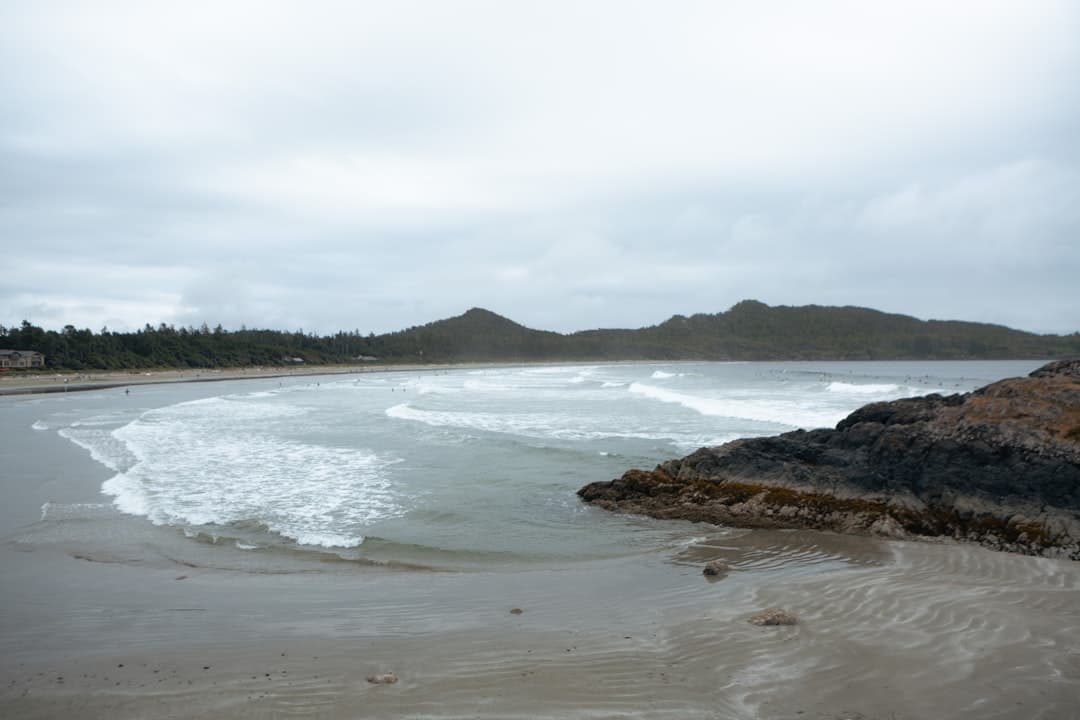 Tofino