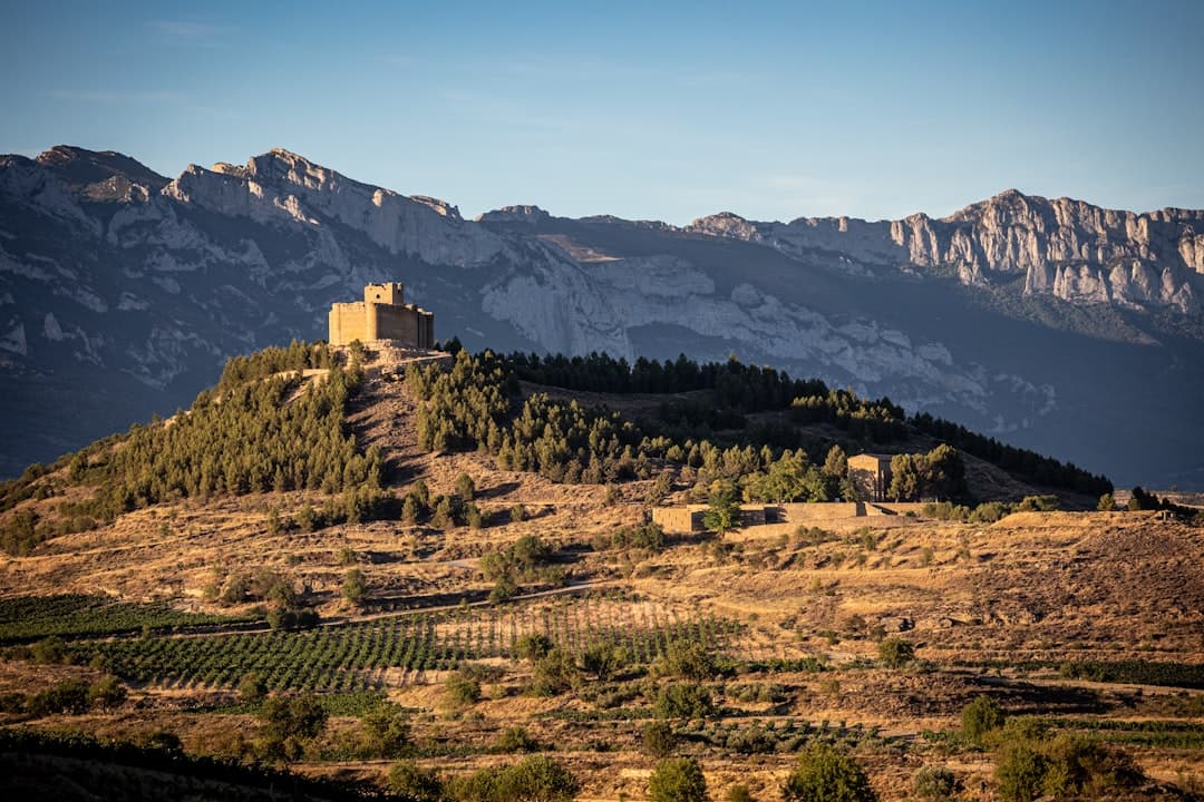 Bodas en Vejer de la Frontera