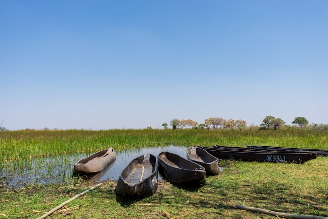 Delta del Okavango, Botsuana