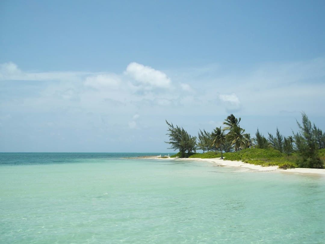Luna de miel en Islas Caimán, Caribe