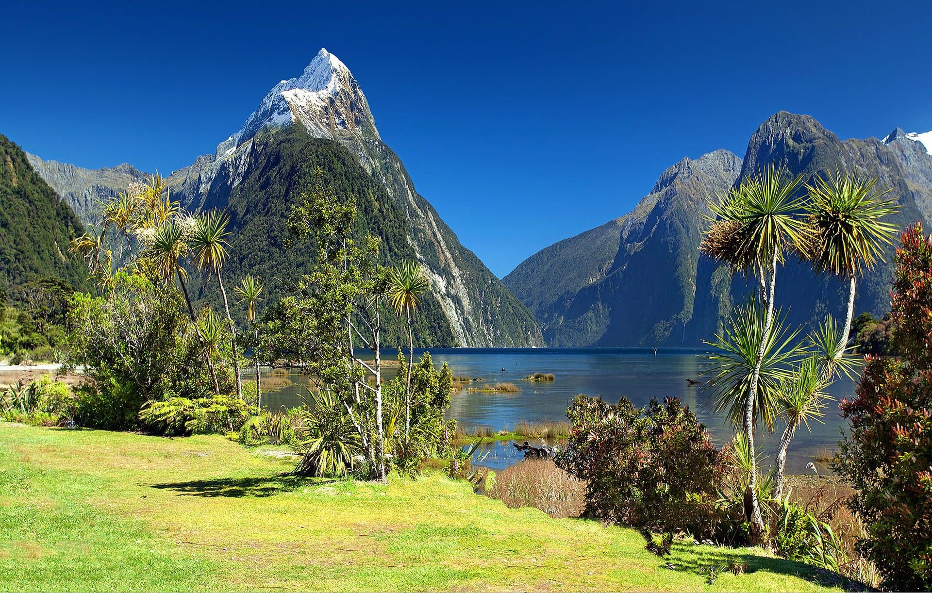 Nueva Zelanda