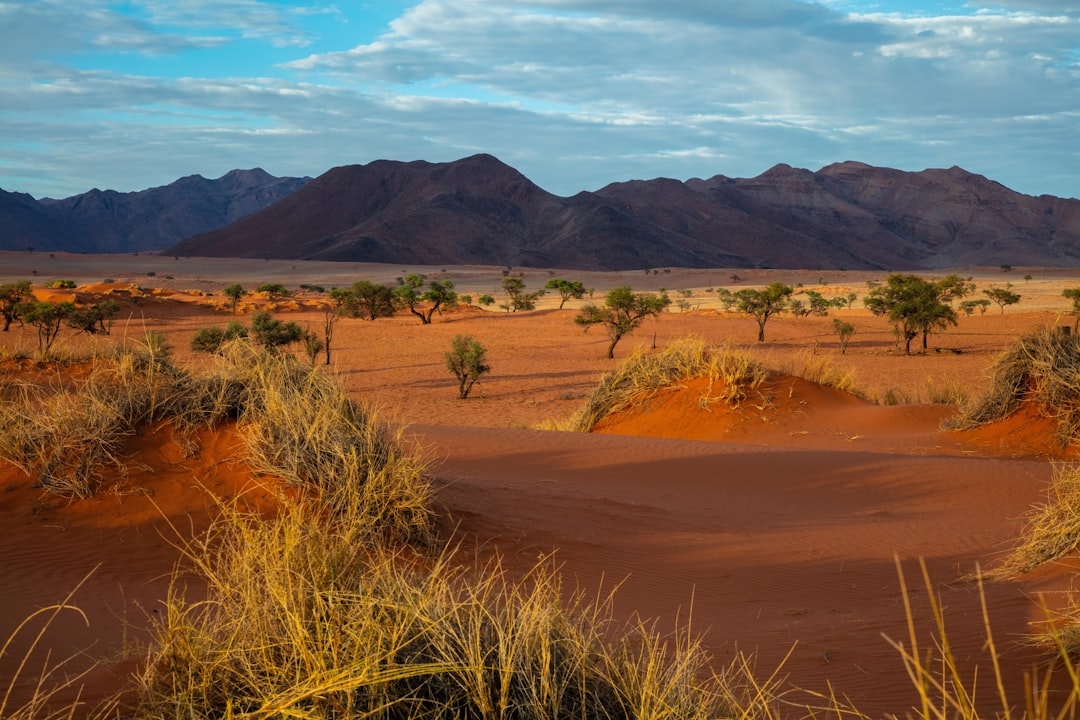 Luna de miel en Sossusvlei y Desierto de Namib, Namibia